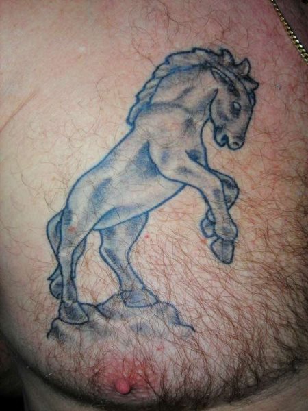 pferd tattoo 532