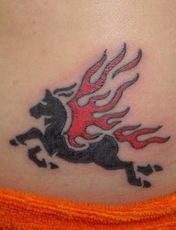 pferd tattoo 556