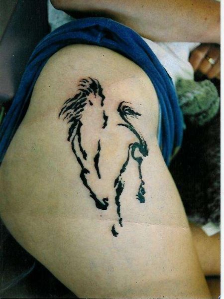 pferd tattoo 558
