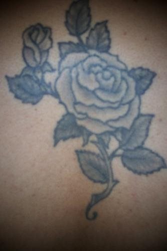 rose tattoo 1010