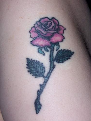 rose tattoo 1017
