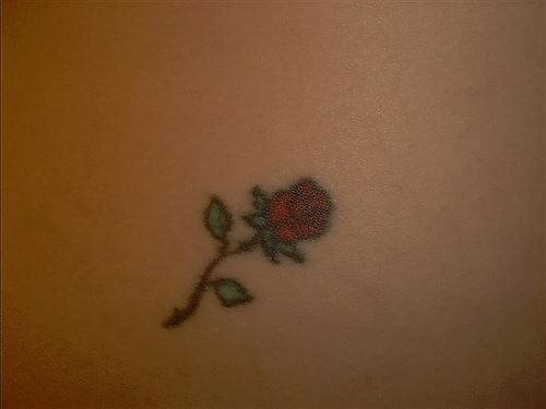rose tattoo 1025
