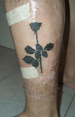 rose tattoo 1034