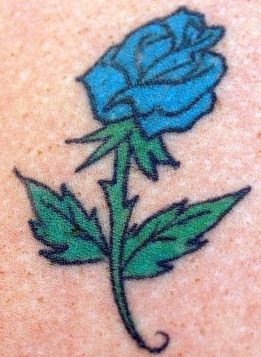 rose tattoo 1048
