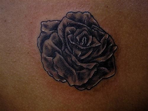 rose tattoo 1049