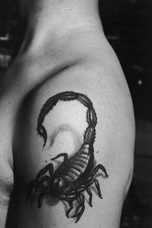 skorpion tattoo 1101