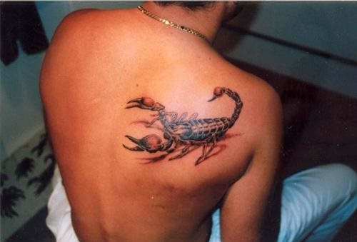 skorpion tattoo 1114
