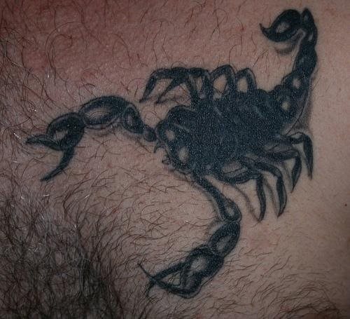 skorpion tattoo 1117