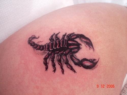 skorpion tattoo 1142