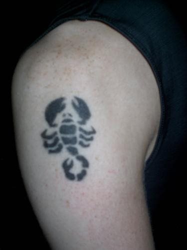 skorpion tattoo 1149