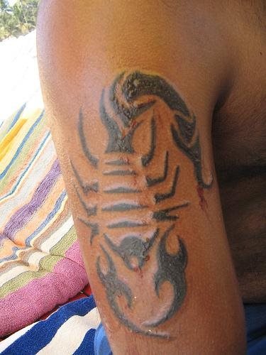 skorpion tattoo 1166