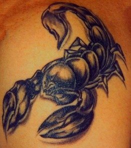skorpion tattoo 1170