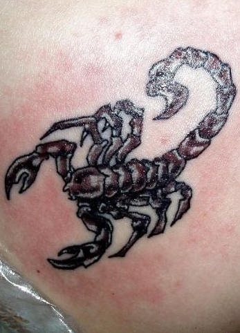 skorpion tattoo 1061