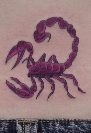 skorpion tattoo 1064
