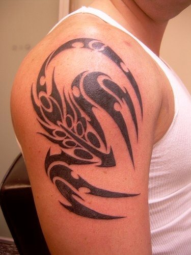 skorpion tattoo 1065
