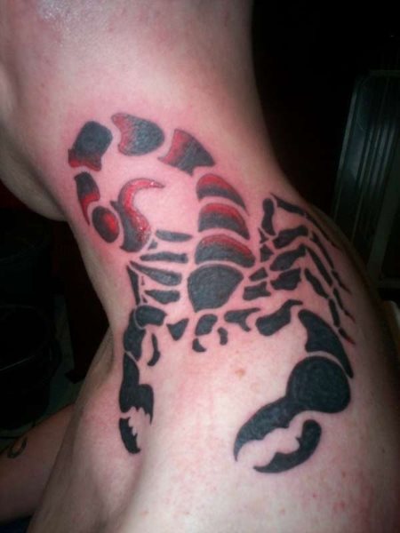 skorpion tattoo 1066
