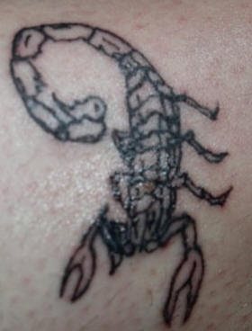 skorpion tattoo 1068
