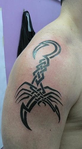 skorpion tattoo 1075