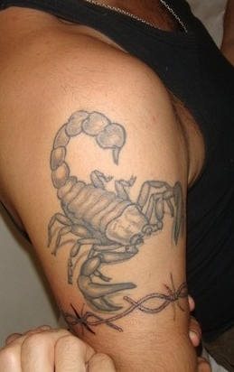 skorpion tattoo 1081