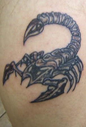 skorpion tattoo 1084