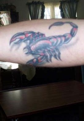 skorpion tattoo 1087