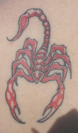 skorpion tattoo 1088