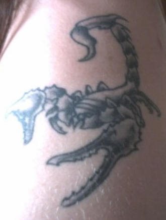 skorpion tattoo 1090