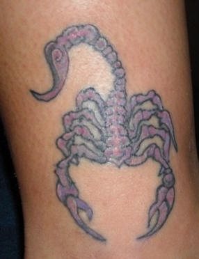 skorpion tattoo 1092