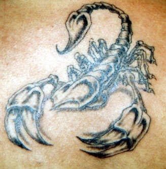 skorpion tattoo 1093