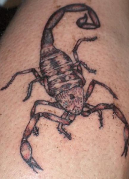 skorpion tattoo 1095