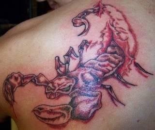 skorpion tattoo 1096
