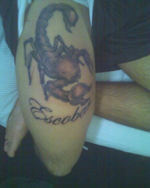 skorpion tattoo 1002