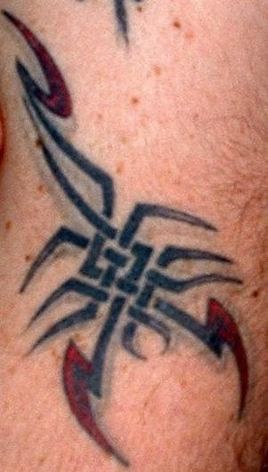 skorpion tattoo 1010