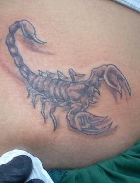 skorpion tattoo 1016