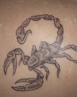 skorpion tattoo 1025