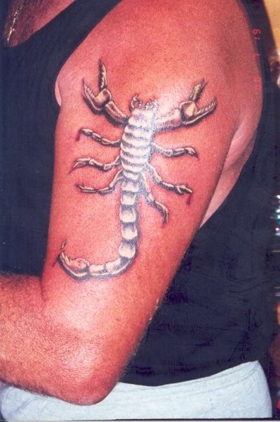 skorpion tattoo 1028