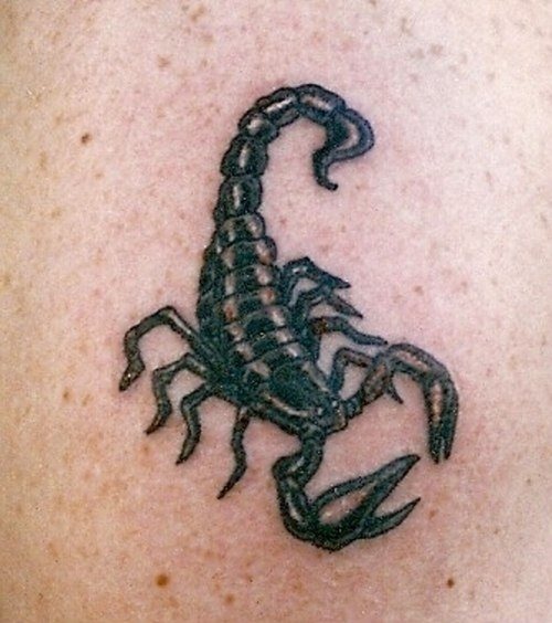 skorpion tattoo 1029