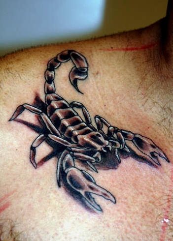 skorpion tattoo 1038