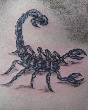 skorpion tattoo 1039