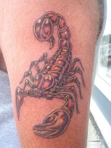 skorpion tattoo 1044