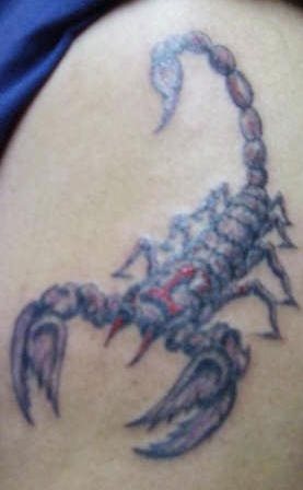 skorpion tattoo 1058
