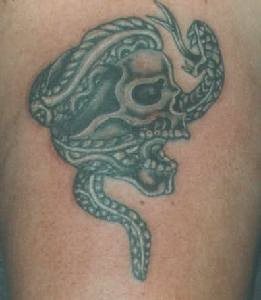 schadel tattoo 527