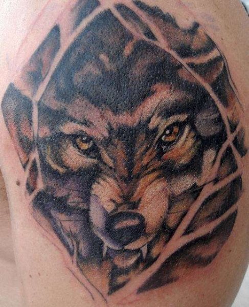 wolf tattoo 1011