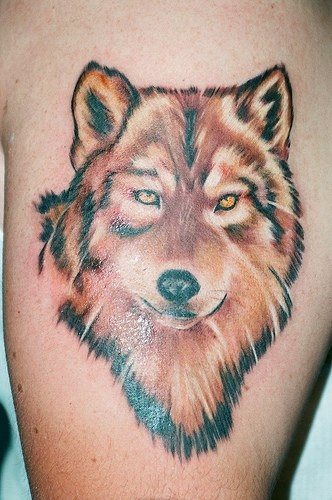 wolf tattoo 1020