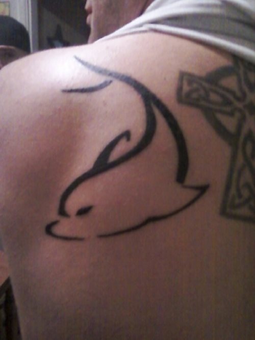 delphin tattoo 43