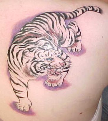 tiger tattoo 01