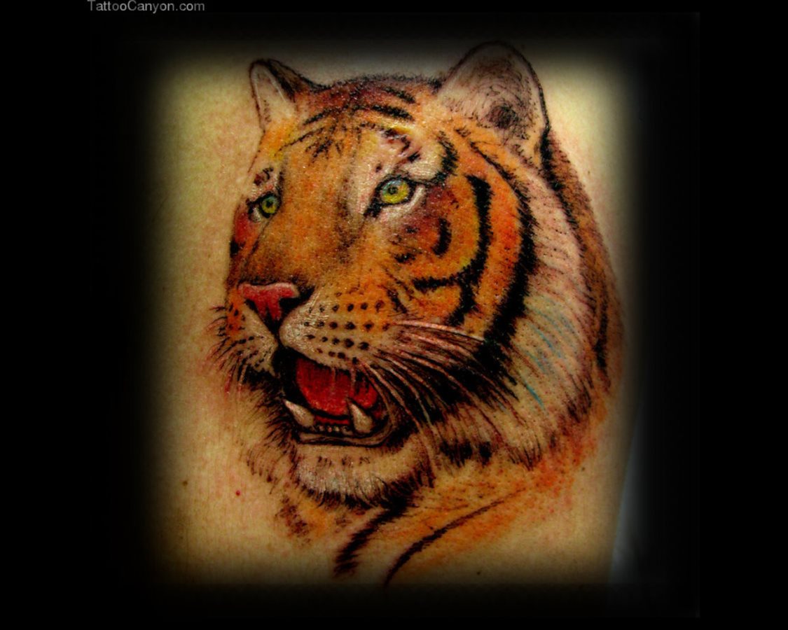 tiger tattoo 06