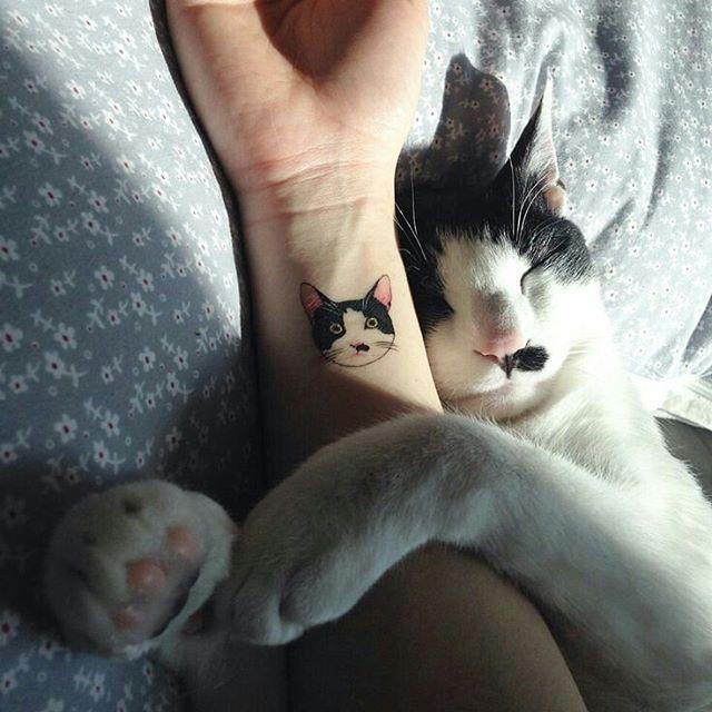 Katze Tattoo 65