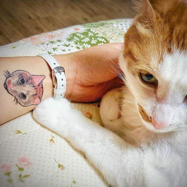 Katze Tattoo 81