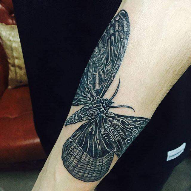 Schmetterling Tattoo 135